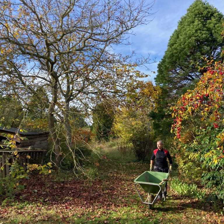 tuinontwerp Zeeland natuurlijk en groen